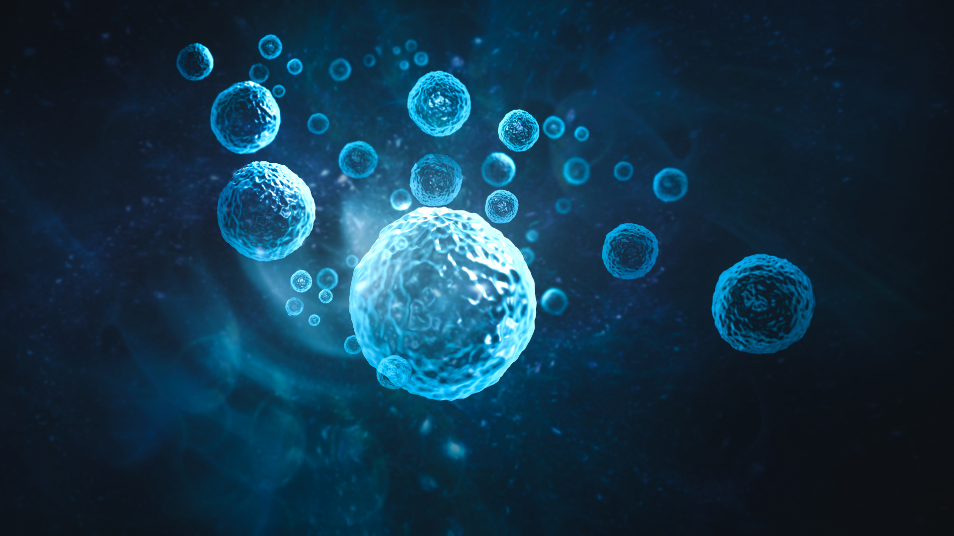 5 Fascinating Facts About Stem Cells You Need to Know