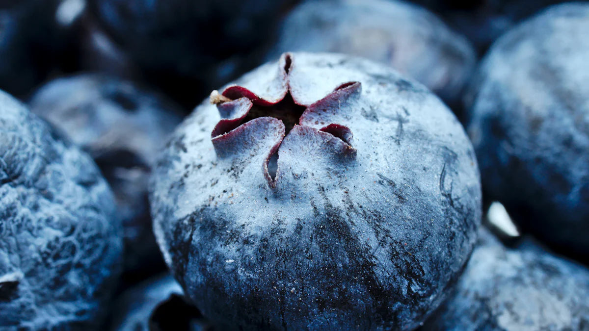 The Science of High ORAC Polyphenols and Skin Health