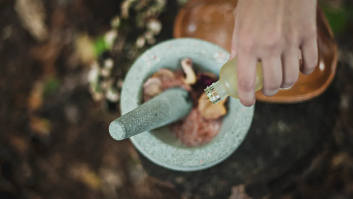 Scientific Insights into Emblica Fruit Extract for Skincare