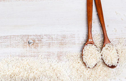 How Rice Chaperones Help Maintain Skin Homeostasis